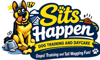 Overnight dog care Randburg, Safe dog boarding Randburg, Affordable dog boarding Randburg