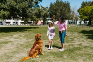Positive reinforcement methods tailored to your dog’s personality. From basic manners to confidence‑building exercises, we help every pup learn, grow, and shine — while keeping training fun and rewarding. At Sits Happen