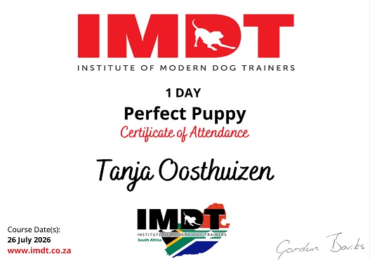 IMDT Perfect Puppy Certificate of Attendance awarded to Tanja Oosthuizen for completing the one-day course on 26 July 2026.